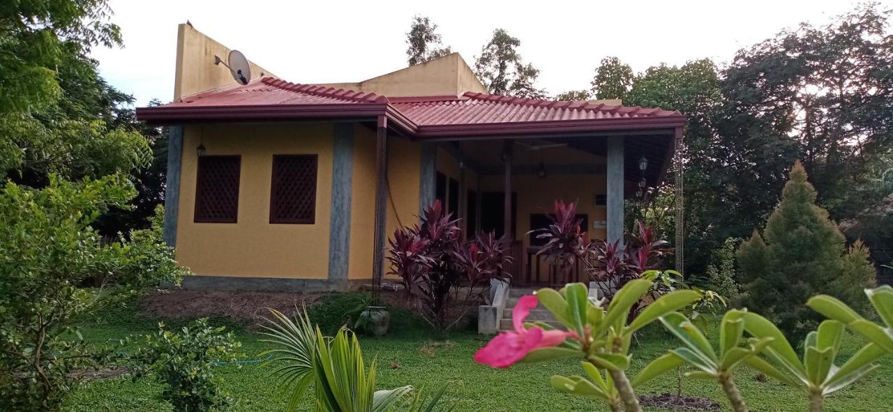 Villa De Lagoon View 坦加拉 外观 照片