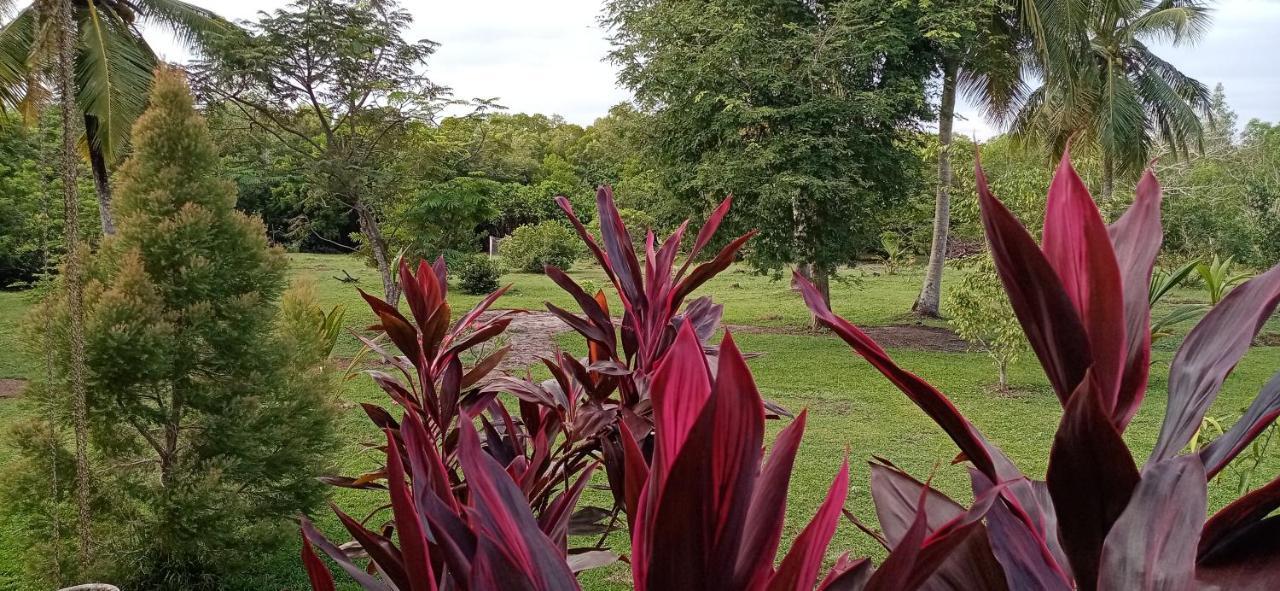 Villa De Lagoon View 坦加拉 外观 照片