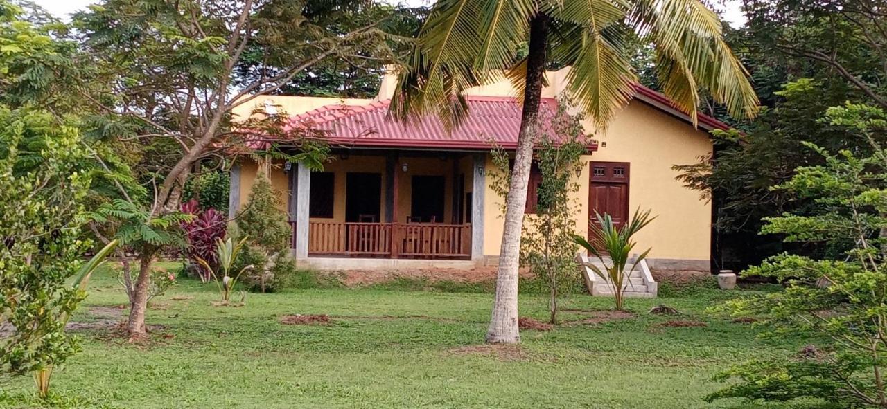 Villa De Lagoon View 坦加拉 外观 照片
