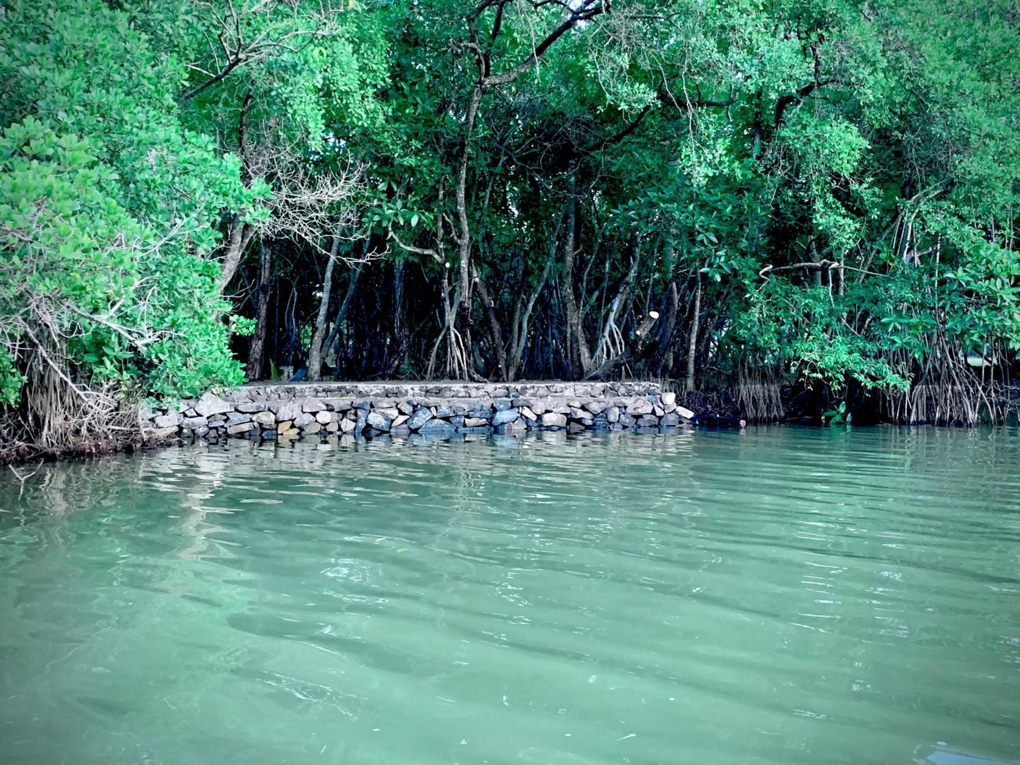 Villa De Lagoon View 坦加拉 外观 照片