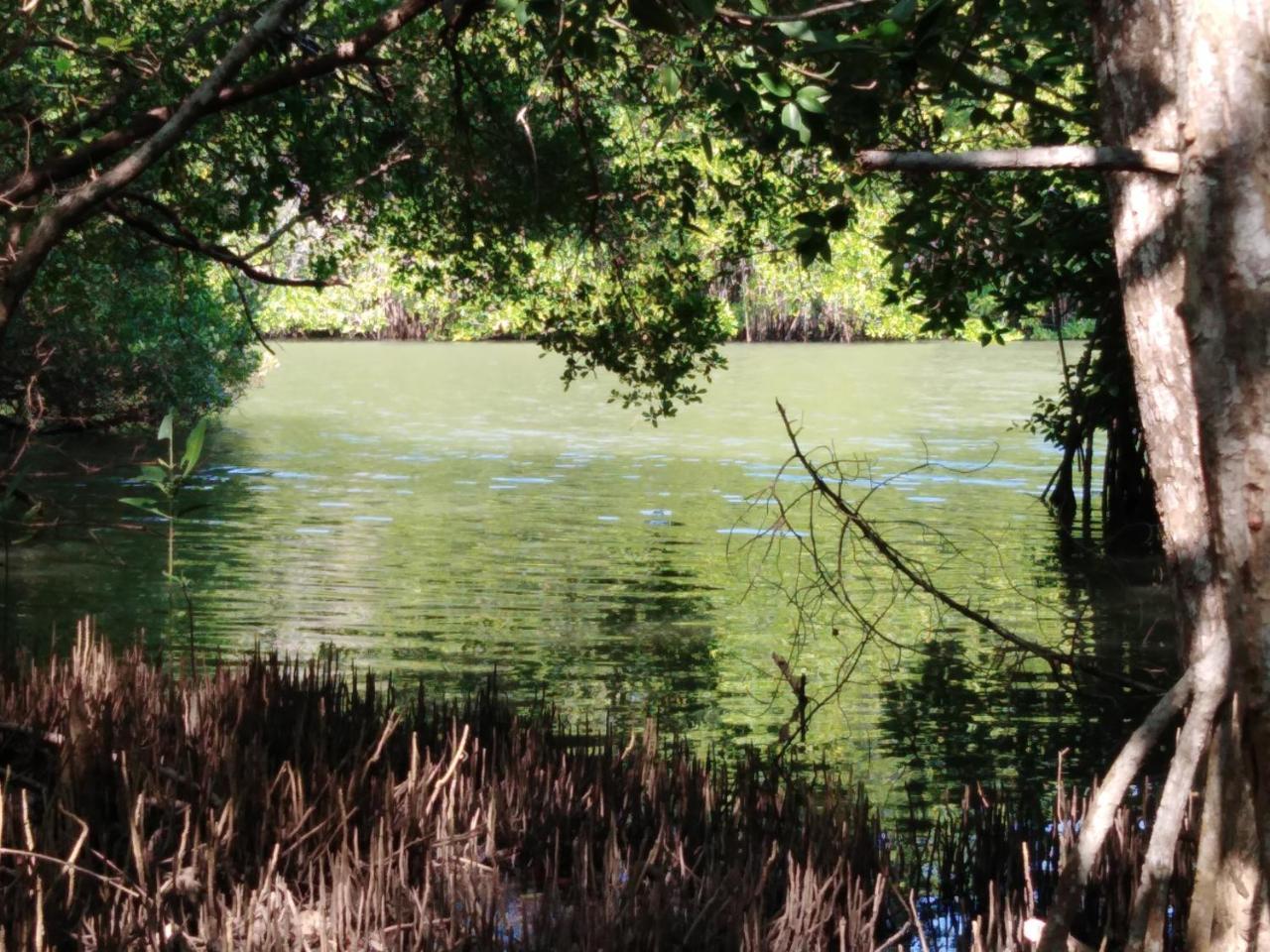 Villa De Lagoon View 坦加拉 外观 照片