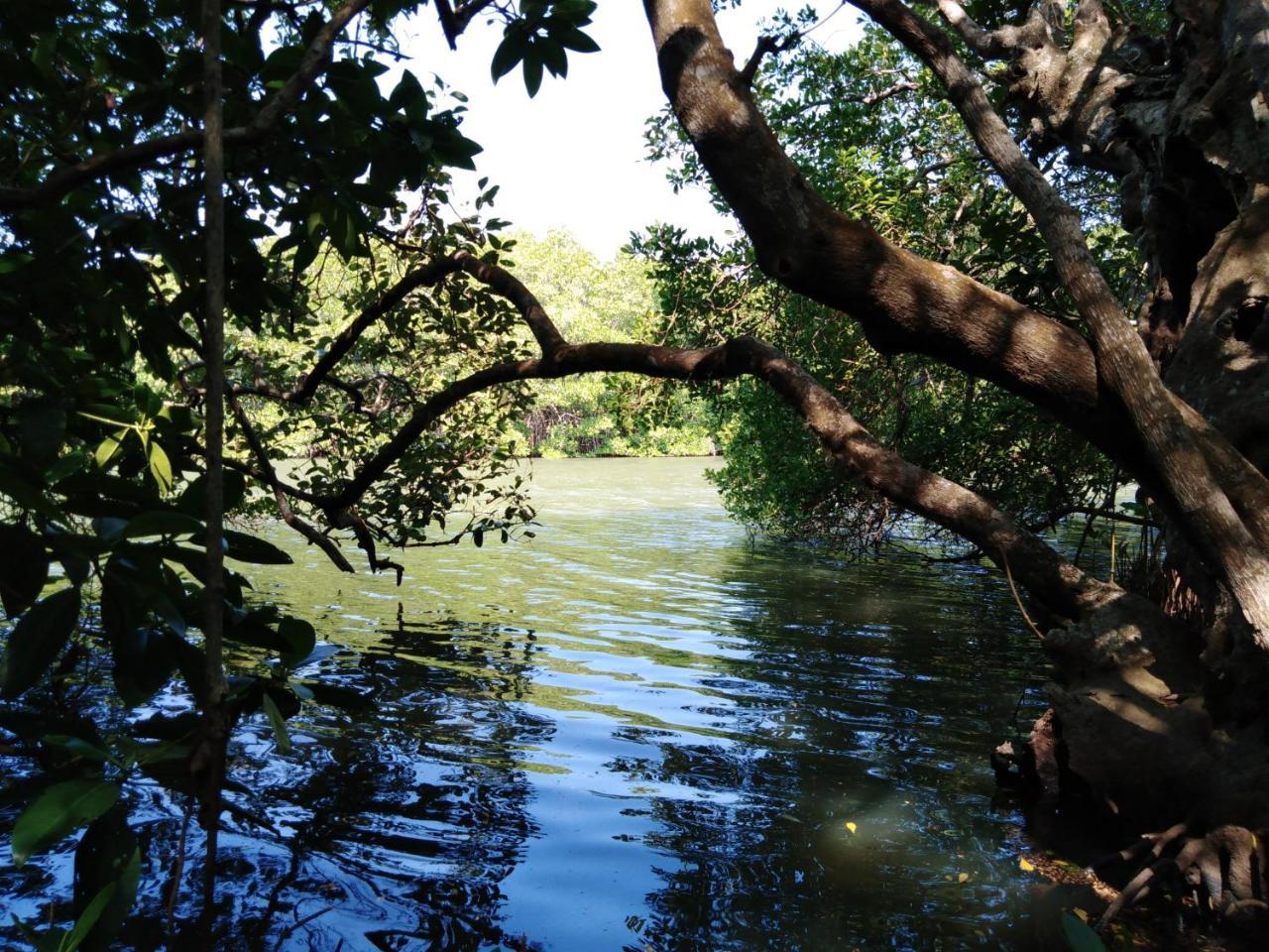 Villa De Lagoon View 坦加拉 外观 照片